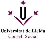 UDL-ConsellSocial-Logo.jpg_1459935298
